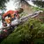 Бензопила STIHL MS462 C-M (11422000022), фото , изображение 8