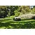 Газонокосилка-робот STIHL iMOW 3.0 (IA020111406), фото , изображение 5