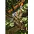 Высоторез аккумуляторный STIHL HTA 30 SET (LA050116418), фото , изображение 8
